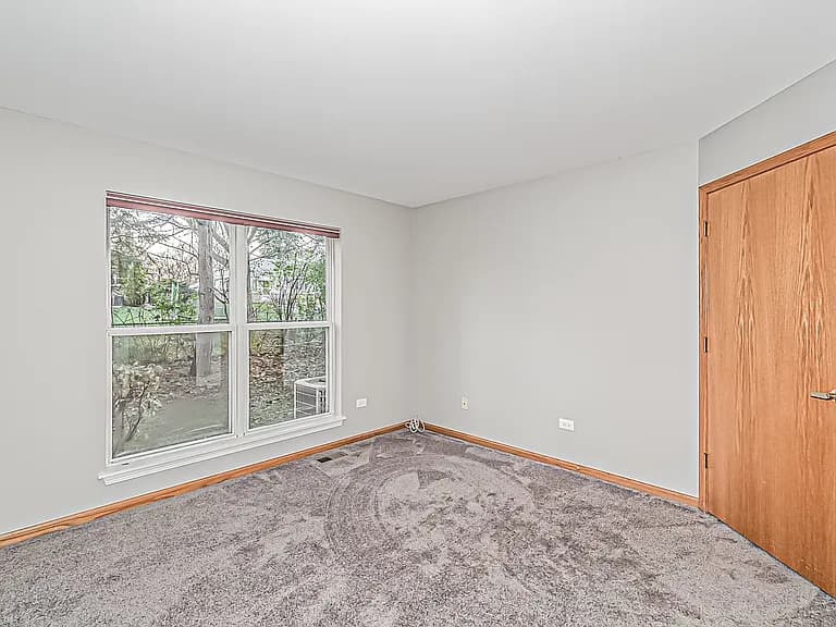 Primary bedroom with carpet, fresh paint, and a large window
