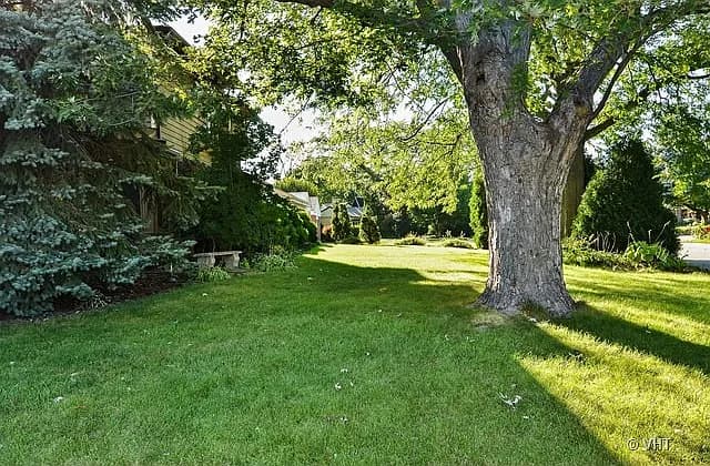 6812 N Kenneth Ave property image